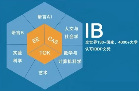 IB课程体系包括哪些内容？一文讲透IB课程设置！