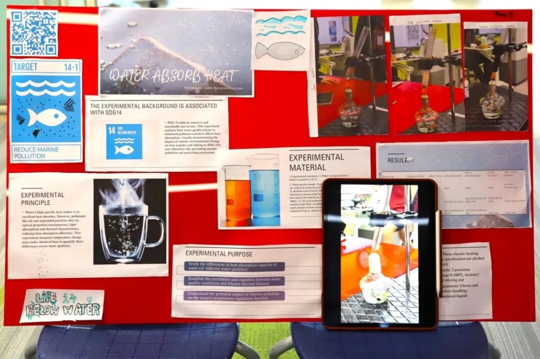 上海德闳初中部如何赋能孩子的个性化未来：探秘德闳初中特色课程