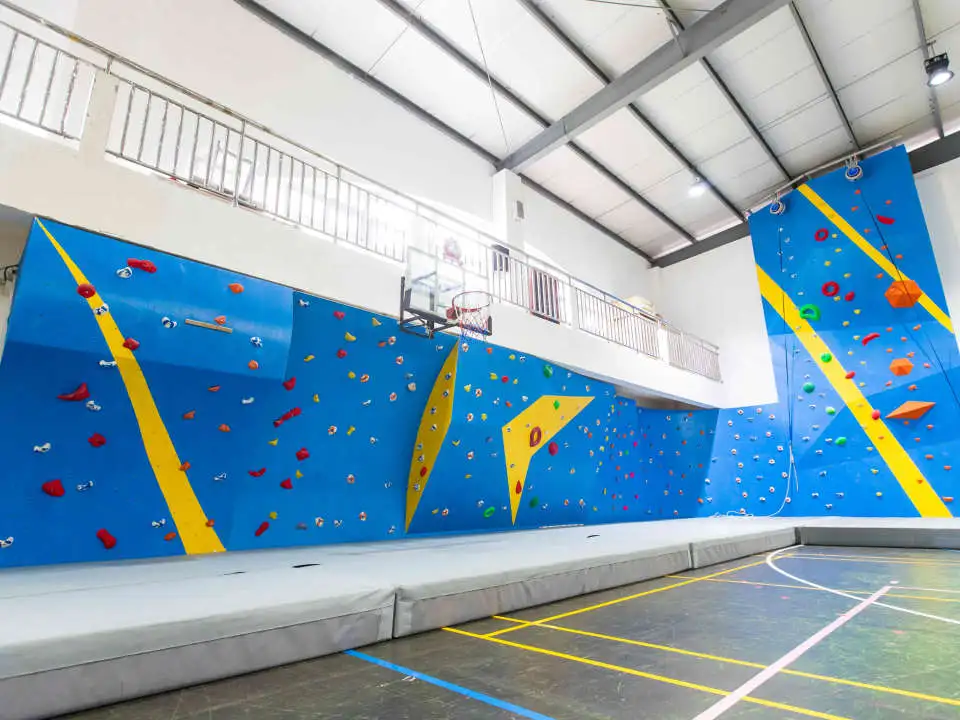 上海松江国际高中 | “牛剑收割机”上海领科国际学校怎么样? 上海松江国际高中 | “牛剑收割机”上海领科国际学校怎么样?