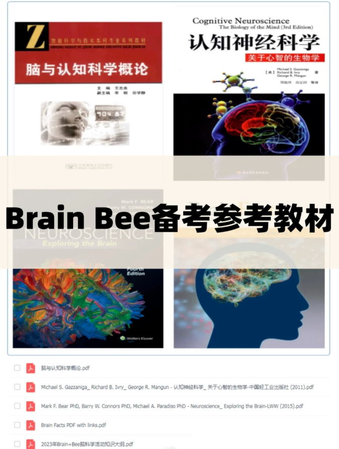 2026年BrainBee脑科学竞赛考试时间定了！明年考试有哪些变化？附机构Brainbee脑科学竞赛培训课程
