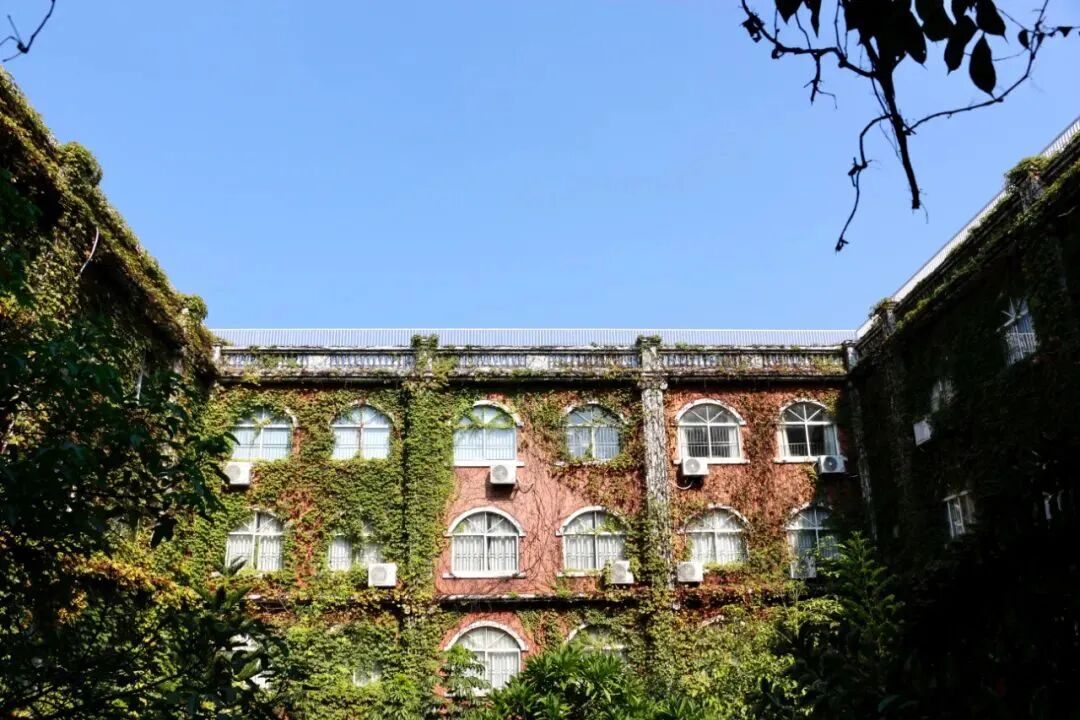 【择校百科】一文了解中英公学国际部