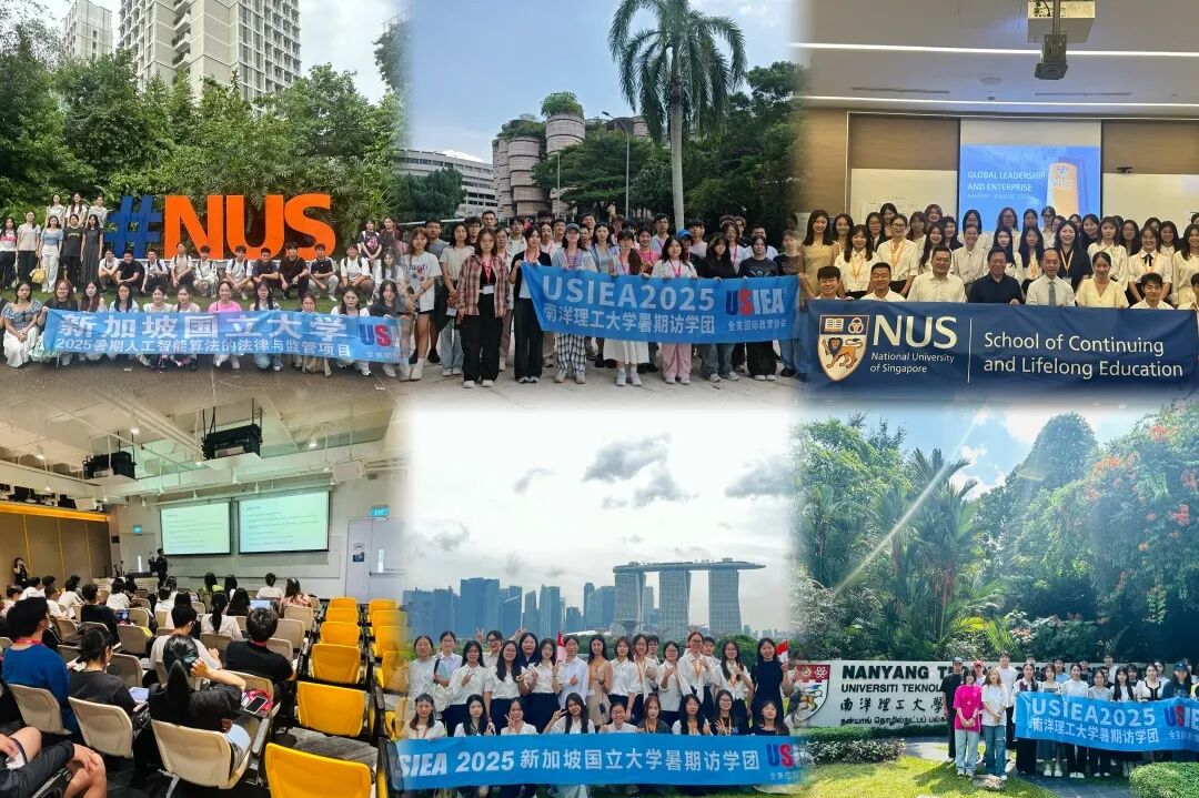 新加坡访学实录 | 十种视角，解读亚洲顶尖学府的独特魅力。