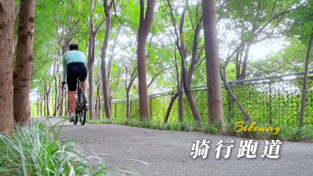 本周六！2026年上海诺美春招考试开启！附考情分析+真题测试卷