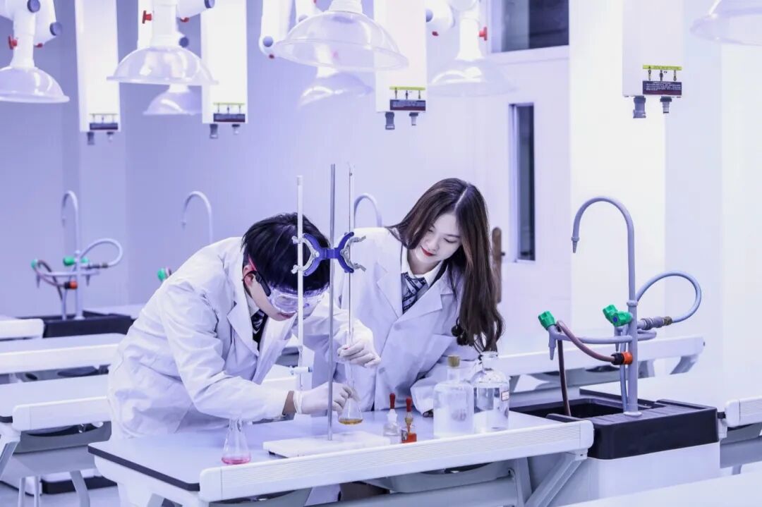 上海市文来高中2026学年招生公告