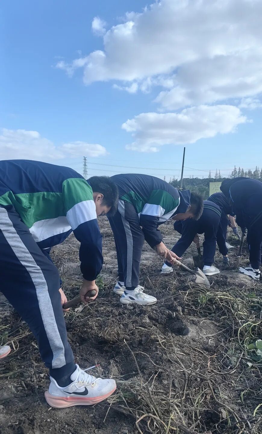 拆盲盒啦！“青春遇稻奉贤”限定版——美达菲高二学子解锁农耕与科技的双向奔赴