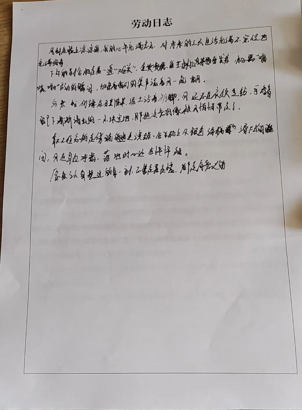 拆盲盒啦！“青春遇稻奉贤”限定版——美达菲高二学子解锁农耕与科技的双向奔赴