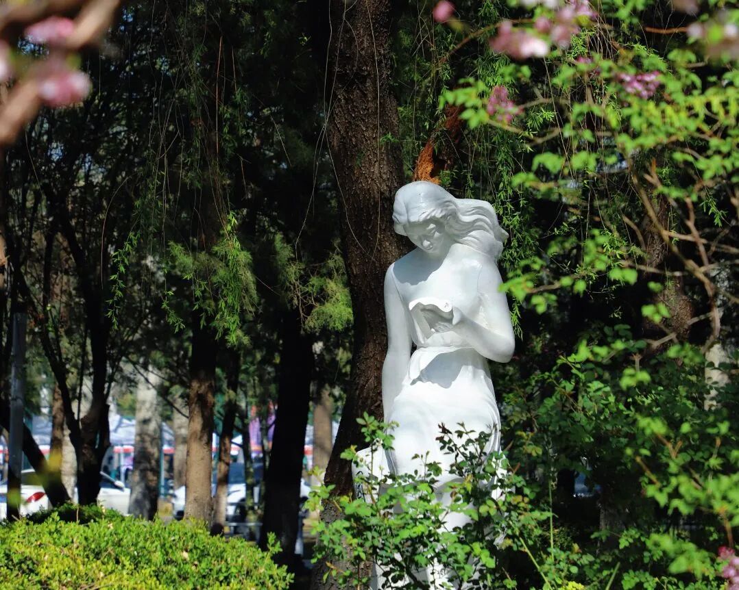 北京国际高中 | 北京外国语大学国际课程中心2026招生简章! 北京国际高中 | 北京外国语大学国际课程中心2026招生简章!