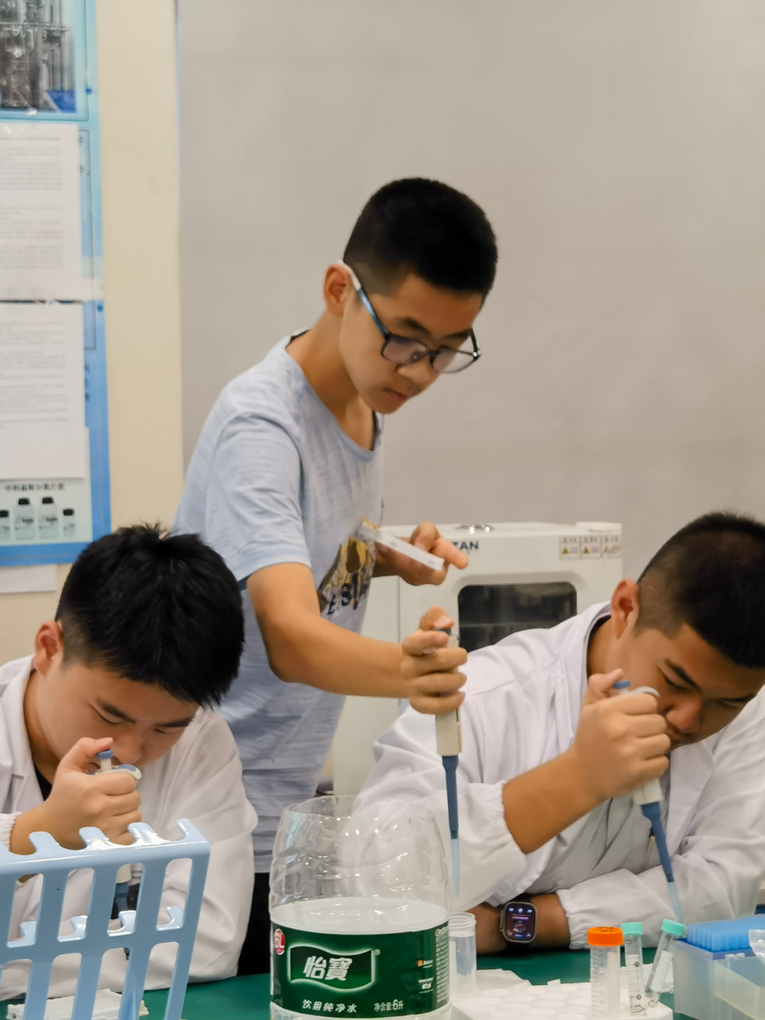 【生物医学科研】​硬核神经科学实践：亲手操作动物行为学实验，获取脑疾病研究的第一手数据​