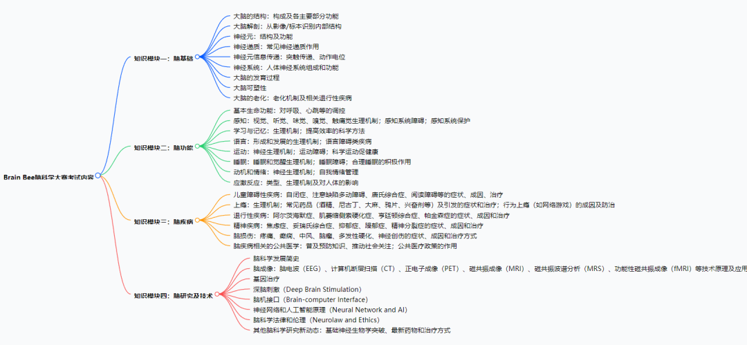 2026 BrainBee 报考指南：时间 / 考点 / 晋级 / 分数线一文理清