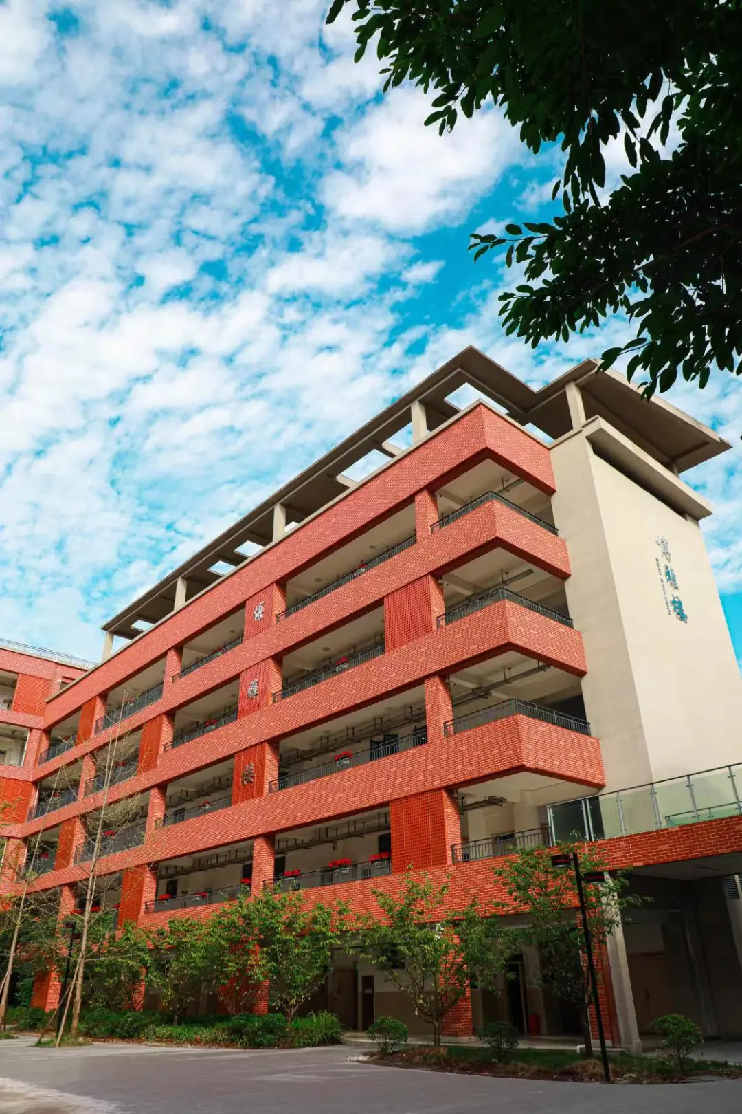 重庆公办国际部｜重庆西南大学附中国际部小班2025年招生简章！香港、英国、美国、澳大利亚、加拿大、新加坡等方向！