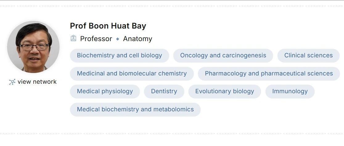 新加坡国立大学全奖博士项目(Boon Huat Bay教授)