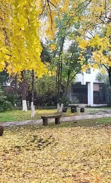 苏州香港DSE高中｜省苏州十中香港DSE课程2026年招生简章！三大升学路径，面向全球升学！