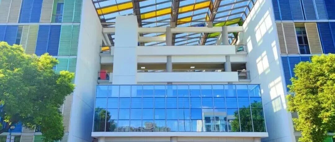 上海开设美高AP课程的国际高中学校｜上海杨浦双语国际高中！