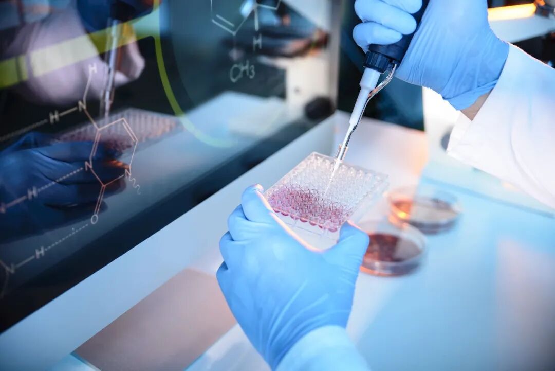 科研合集：医学/生物/分子生物学/基因工程...一席难求的实验室科研项目，速进！