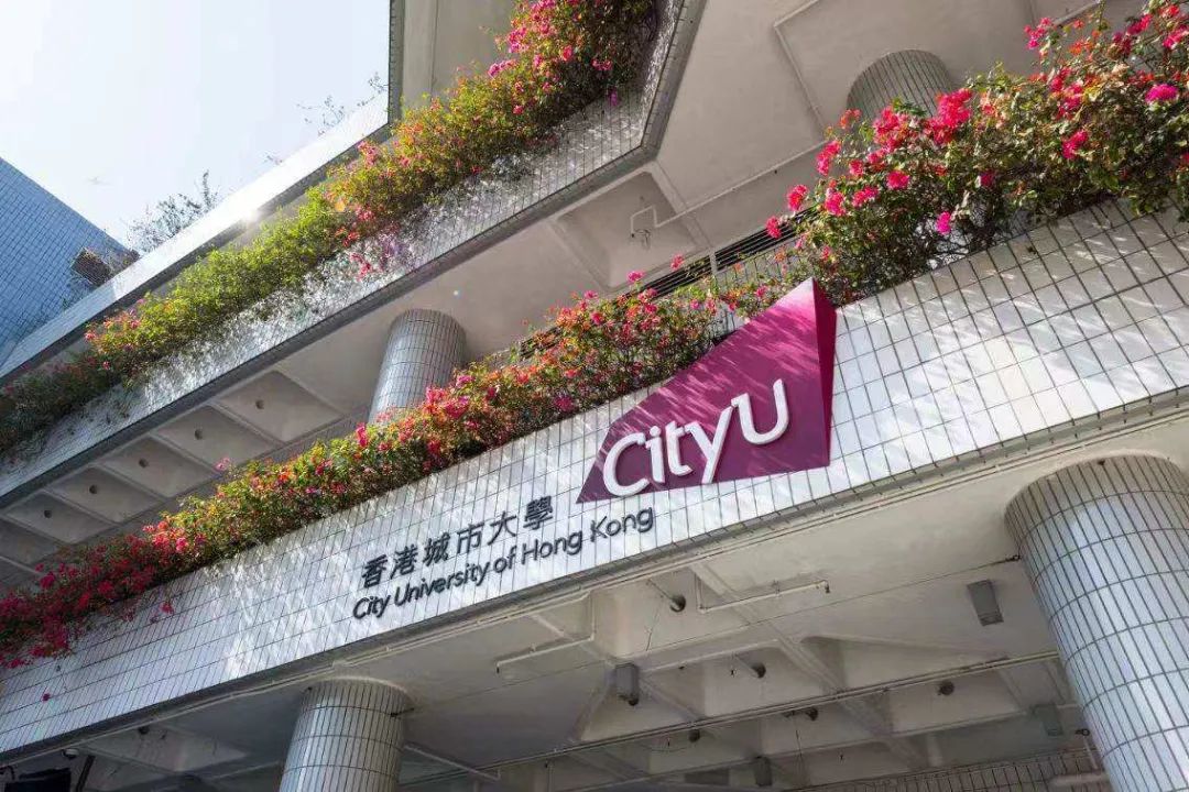 新开项目 | 香港城市大学新增『人工智能驱动创新』硕士