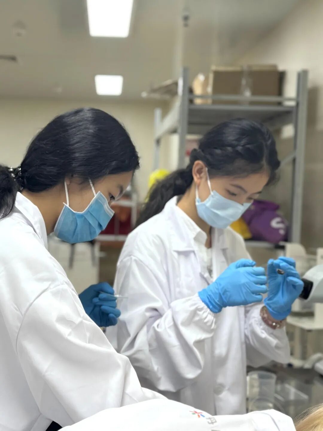 【生物医学科研】脑科学探究抑郁症的治疗新方向