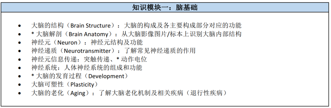 Brain Bee脑科学大赛报名开启！5-12年级学生都可以参加 附Brain Bee课程培训