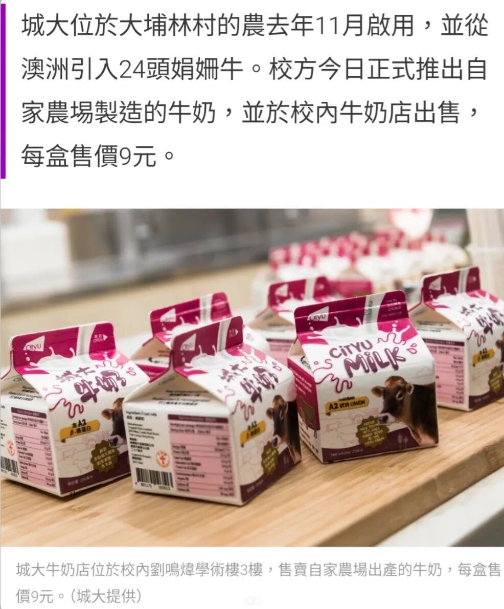 这绝对是香港性价比最高的一所大学!——香港“牛奶”大学