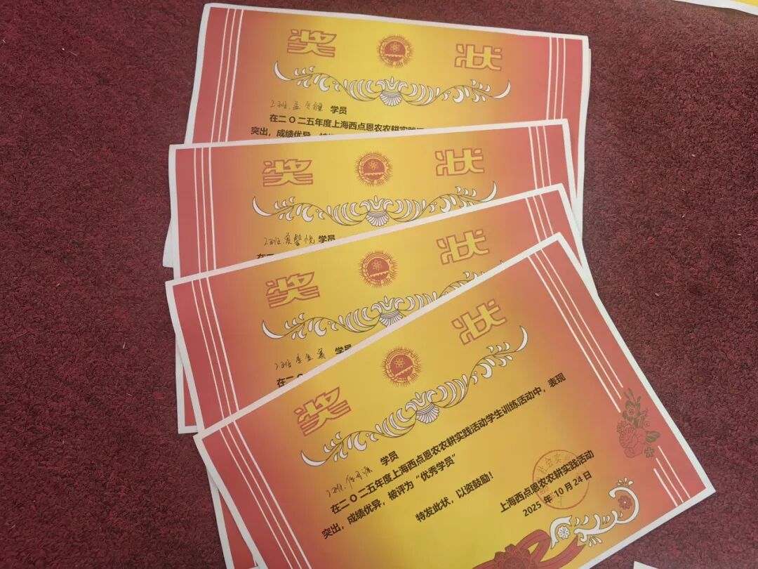 拆盲盒啦！“青春遇稻奉贤”限定版——美达菲高二学子解锁农耕与科技的双向奔赴