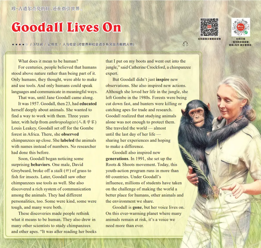 SSP头版怎么用?人物写作提分实操指南! SSP头版怎么用?人物写作提分实操指南!