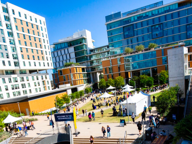 加州大学圣地亚哥分校,本科学院介绍 加州大学圣地亚哥分校,本科学院介绍