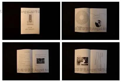 全球最高分学生故事 | 以数字媒体问鼎世界之巅!高中生试图用艺术与科技改善社会! 全球最高分学生故事 | 以数字媒体问鼎世界之巅!高中生试图用艺术与科技改善社会!