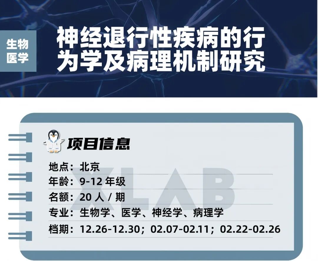 【生物医学科研】​硬核神经科学实践：亲手操作动物行为学实验，获取脑疾病研究的第一手数据​