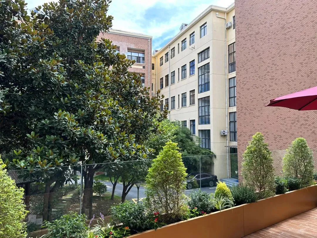 2026年上海文来高中国际部招生简章！8个班级招生200人！