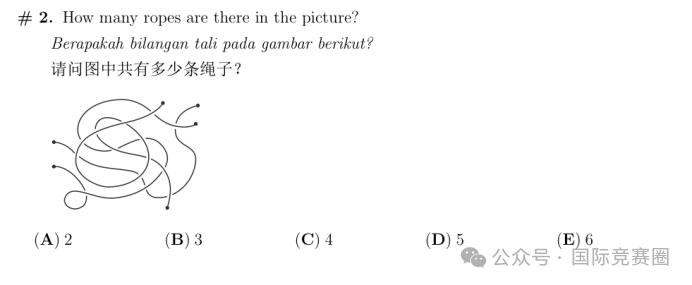 低龄数学竞赛天花板“袋鼠竞赛”是什么？一文全介绍清楚！