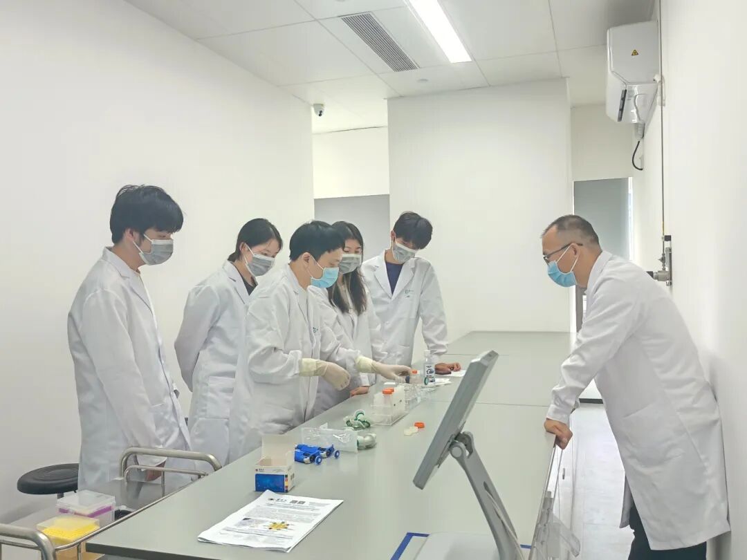 项目合集 | 机构2025圣诞&2026寒假项目机械工程、电子电气工程和生物医学工程特辑