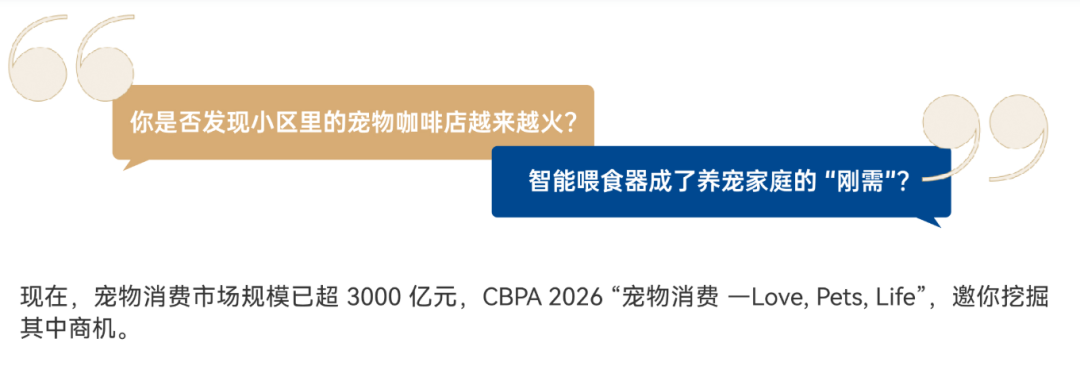 搞定商科申请+留学｜BPA商赛通关全流程：不同组别选择与考核环节+最新组队信息