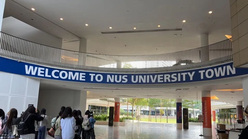 新加坡国立大学官方举办的生物医学夏校项目回顾