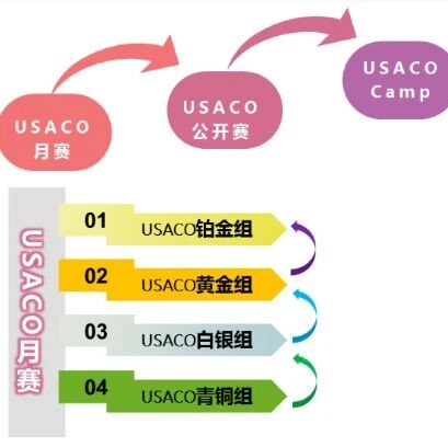 从零基础到白金：USACO计算机竞赛全级别备考规划与辅导建议