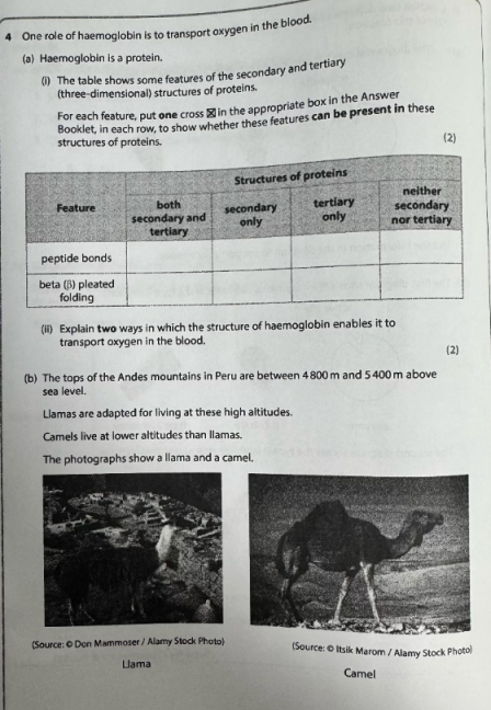 2025年秋季爱德思大考考情回顾|10月10日生物U1模块真题答案及考情分析~ 2025年秋季爱德思大考考情回顾|10月10日生物U1模块真题答案及考情分析~