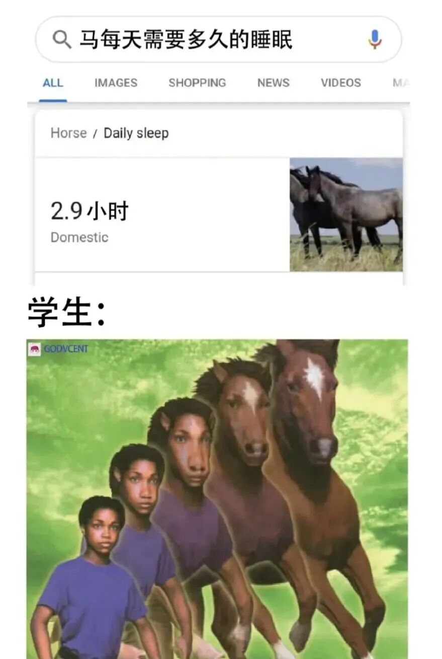 留子哪有不疯的，不过是在硬撑罢了...