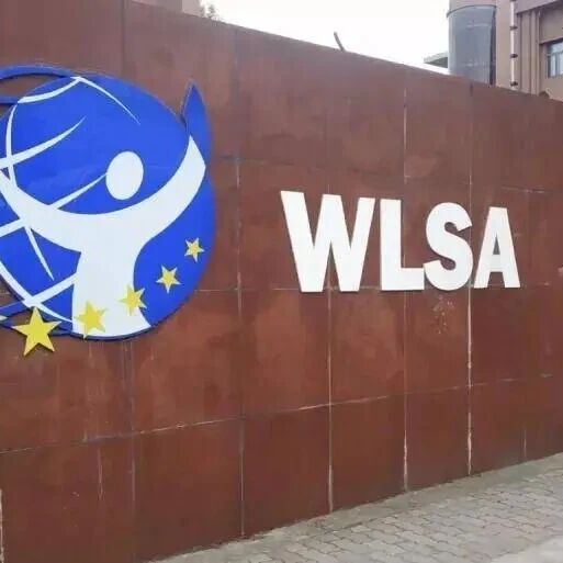 2026年WLSA上海学校首场春考情分析!考察内容题型?面试时间?