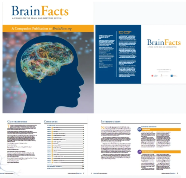 2026年BrainBee脑科学竞赛考试时间定了！明年考试有哪些变化？附机构Brainbee脑科学竞赛培训课程