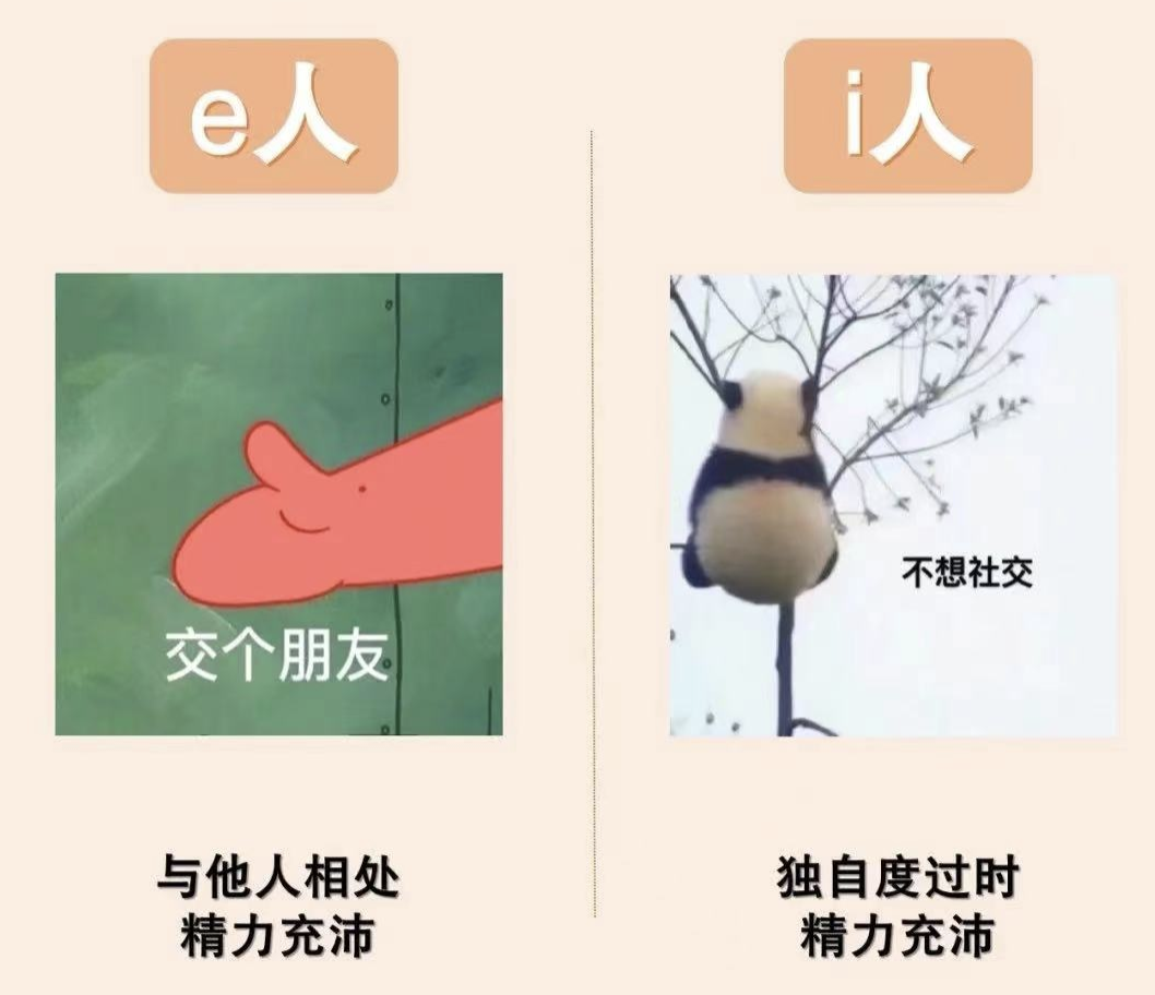 最适合内向孩子的美国大学！