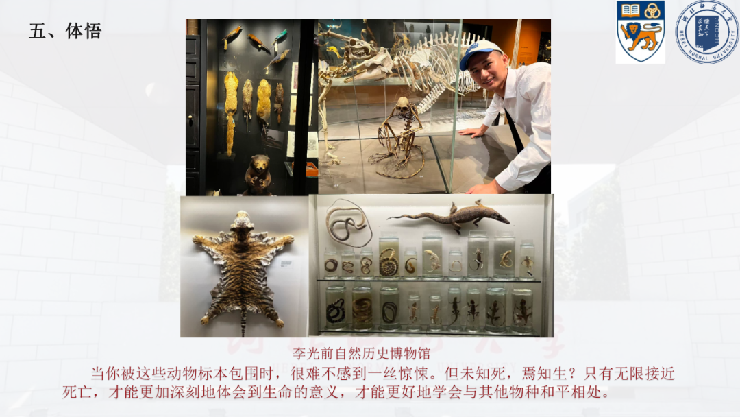 新加坡访学实录 | 十种视角，解读亚洲顶尖学府的独特魅力。