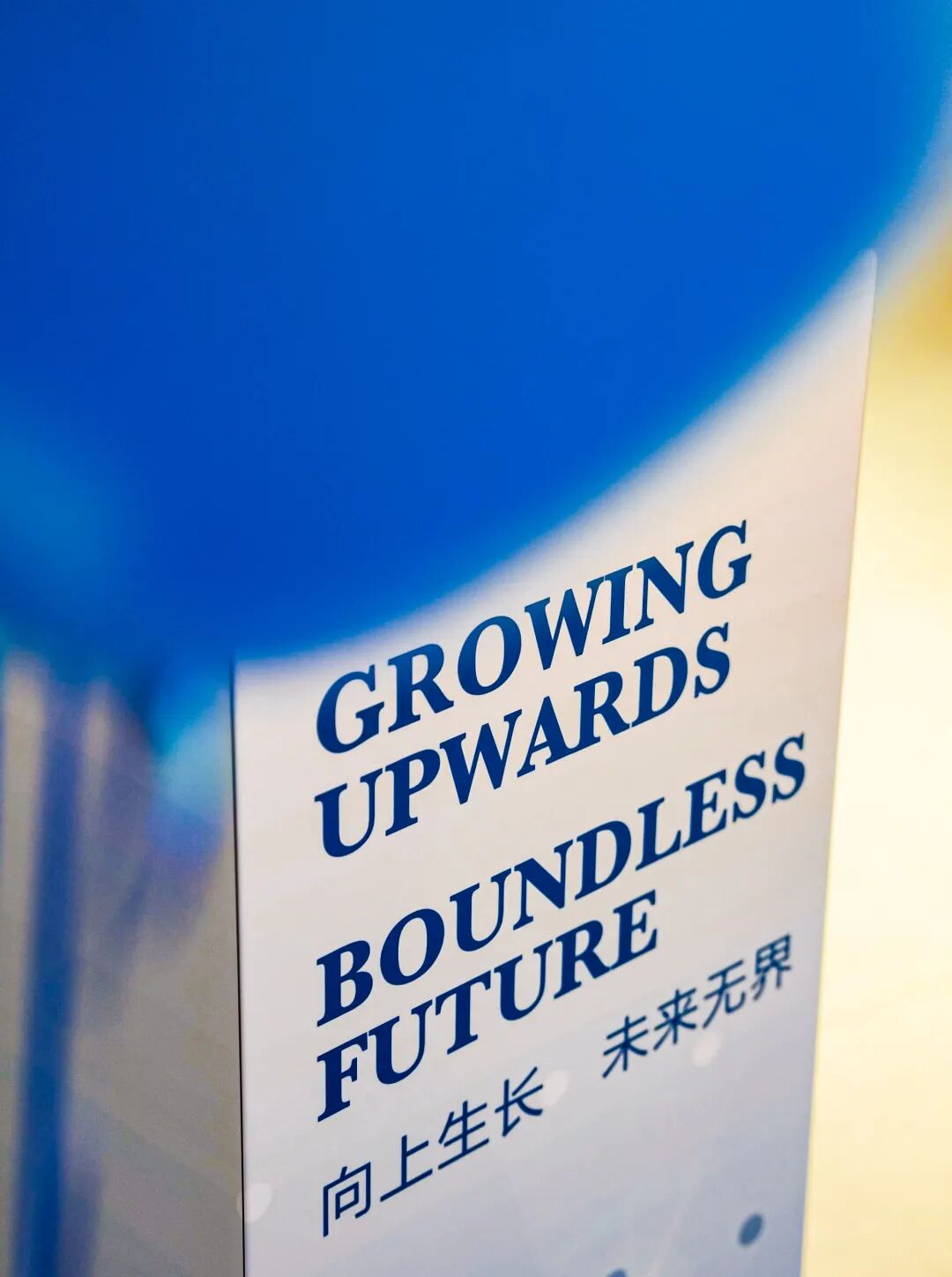 SUIS奖学金|24-25学年协和浦东百万奖学金名单大揭秘