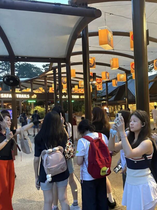 诺奖经济学第一课：新加坡国立大学官方课程，打造你的经济思维！