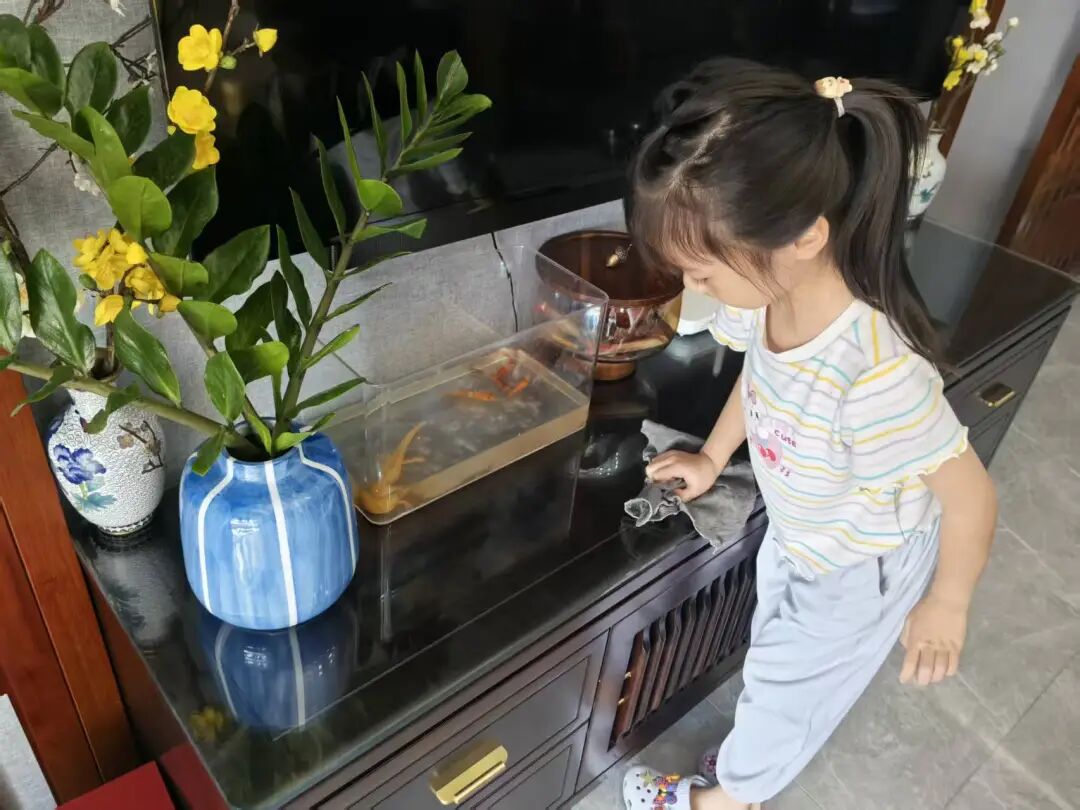你好，小学生！｜尚德小学部一年级入学适应期成长记