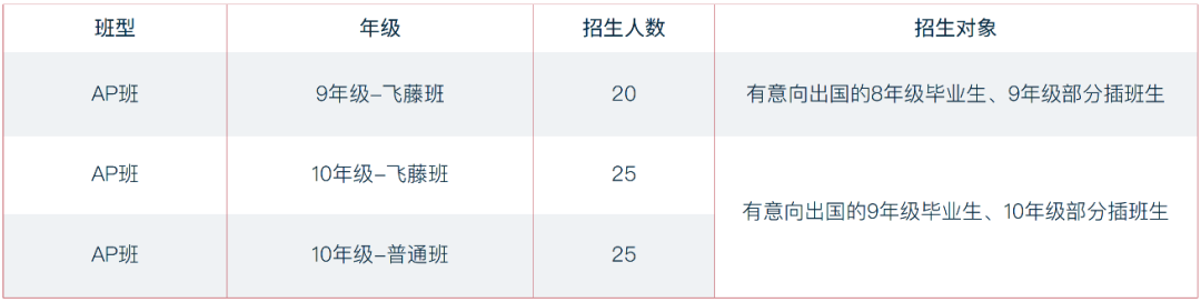 武汉海淀外国语国际部：学费、课程体系等全解析