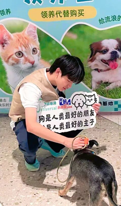 从指尖到心间｜西南位育国际课程部社会公益行动进行时