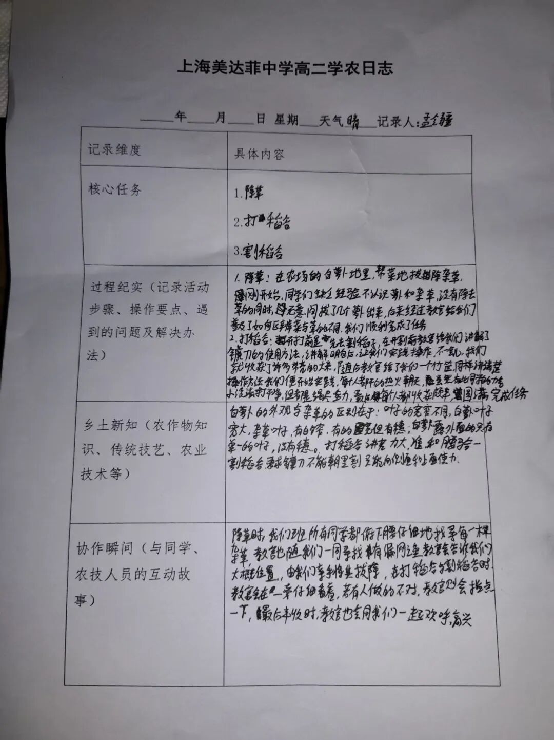 拆盲盒啦！“青春遇稻奉贤”限定版——美达菲高二学子解锁农耕与科技的双向奔赴