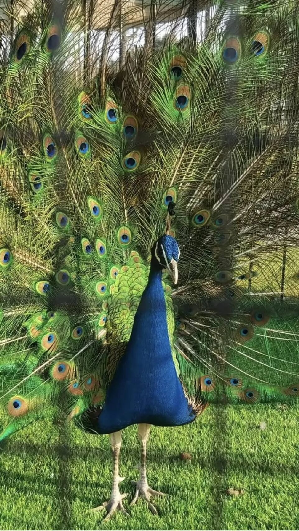 2026年上海阿德科特春招11月2日开考!附考情回顾+入学考试真题测试卷~ 2026年上海阿德科特春招11月2日开考!附考情回顾+入学考试真题测试卷~