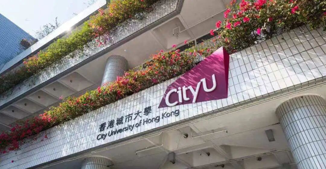 香港城市大学全奖博士招生 | Prof. Vinicius (683）