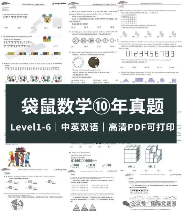 低龄数学竞赛天花板“袋鼠竞赛”是什么？一文全介绍清楚！