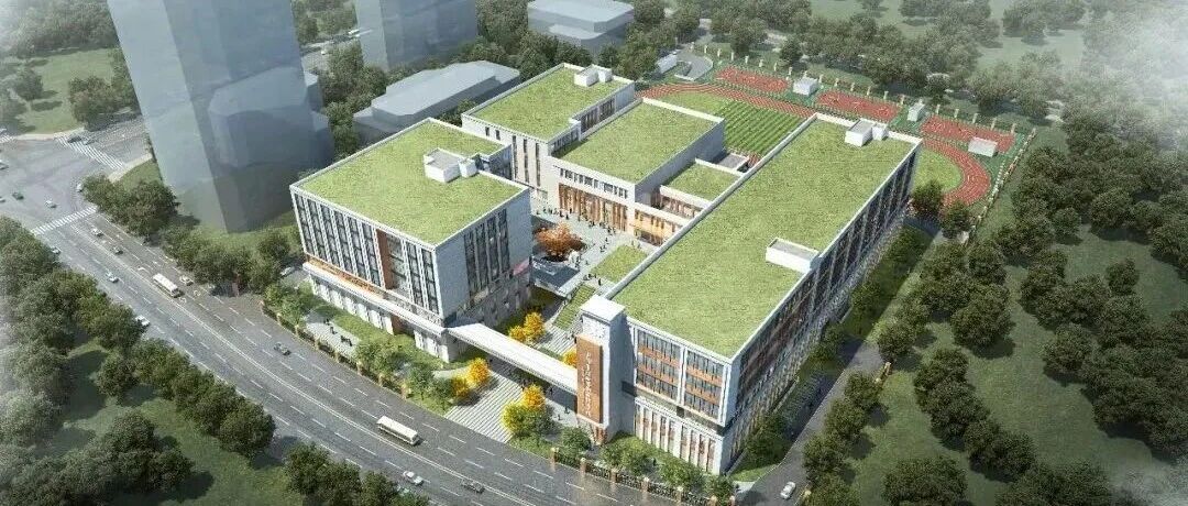 上海国际学校｜上海青浦世外高级中学 IB、美高+AP世外王牌课程怎么选？