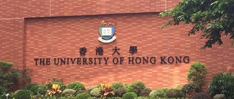 香港大学生物学系PhD博士招生中!(导师Prof. Lok)